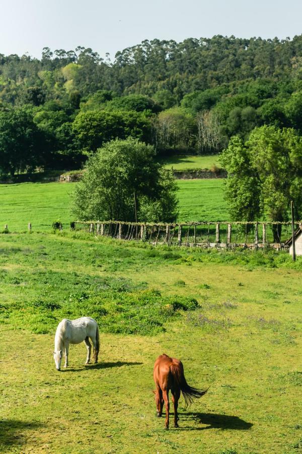 Quinta De Pindela - Natureza E Tradicao Villa Vila Nova de Famalicão Екстериор снимка