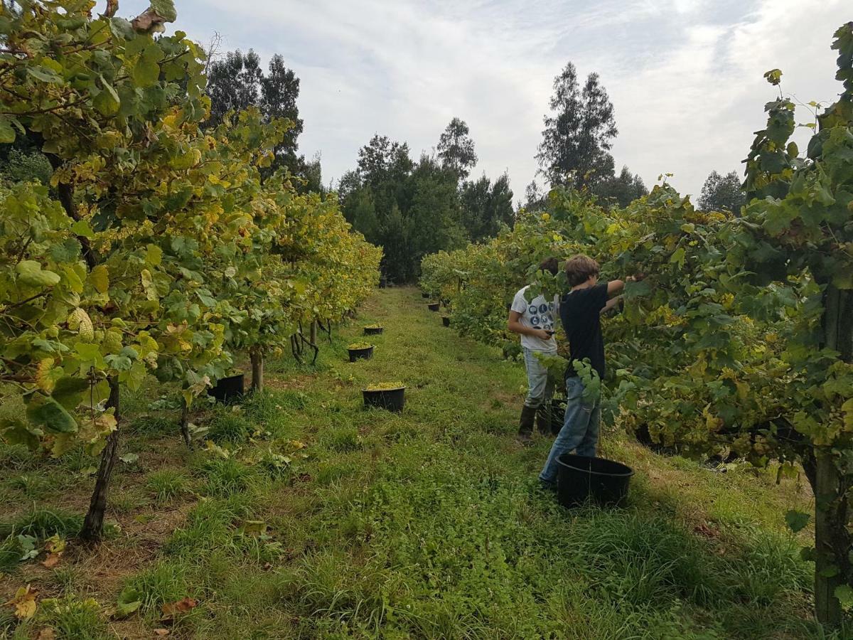 Quinta De Pindela - Natureza E Tradicao Villa Vila Nova de Famalicão Екстериор снимка